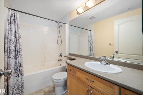 308 9938 104 Street, Edmonton, AB - Indoor Photo Showing Bathroom