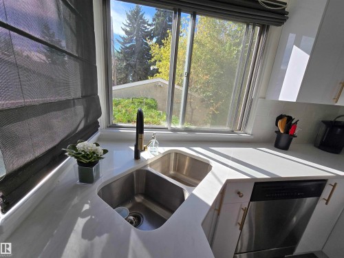 13207 109 Avenue, Edmonton, AB - Indoor Photo Showing Kitchen With Double Sink