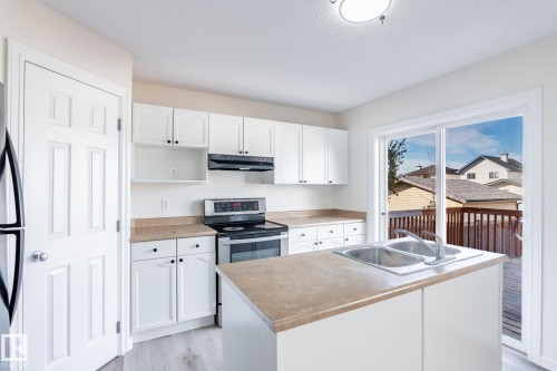 2912 31 Street, Edmonton, AB - Indoor Photo Showing Kitchen With Double Sink
