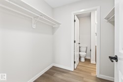 Spacious closet featuring light wood-type flooring - 