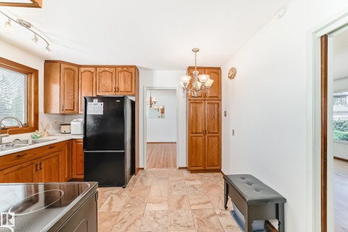 4603 116A Street, Edmonton, AB - Indoor Photo Showing Kitchen With Double Sink
