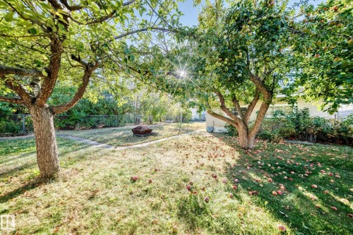 11424 105 Street, Edmonton, AB - Outdoor