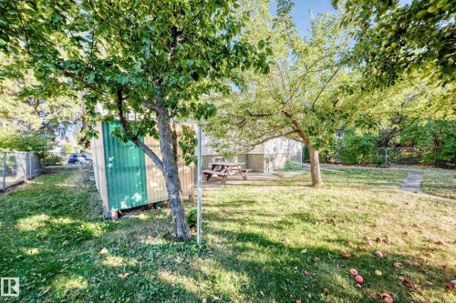 11424 105 Street, Edmonton, AB - Outdoor