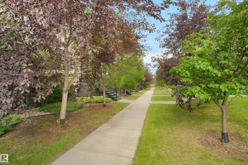 33 9535 217 Street, Edmonton, AB - Outdoor