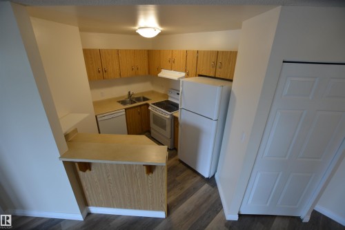 304 10511 19 Avenue, Edmonton, AB - Indoor Photo Showing Kitchen With Double Sink