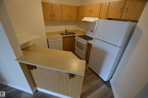 304 10511 19 Avenue, Edmonton, AB - Indoor Photo Showing Kitchen
