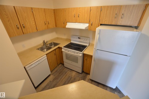 304 10511 19 Avenue, Edmonton, AB - Indoor Photo Showing Kitchen With Double Sink