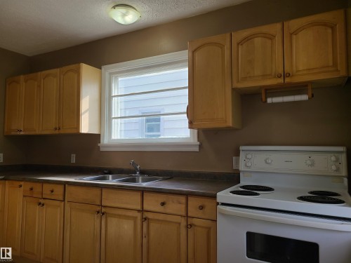 12414 90 Street, Edmonton, AB - Indoor Photo Showing Kitchen With Double Sink