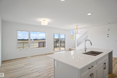 17 19904 31 Avenue, Edmonton, AB - Indoor Photo Showing Kitchen With Double Sink