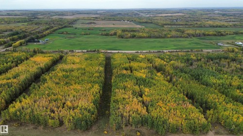 On Twp Rd 505, Rural Brazeau County, AB 