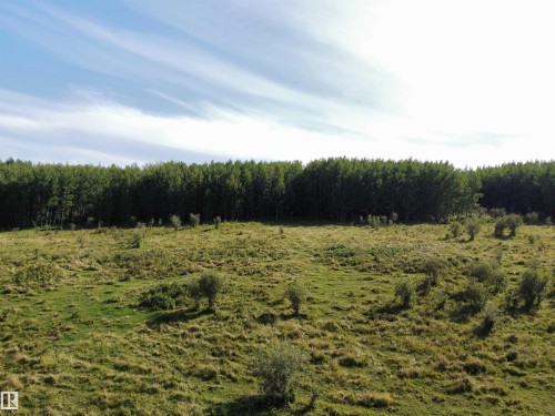 On Twp Rd 505, Rural Brazeau County, AB 