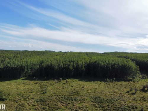 On Twp Rd 505, Rural Brazeau County, AB 