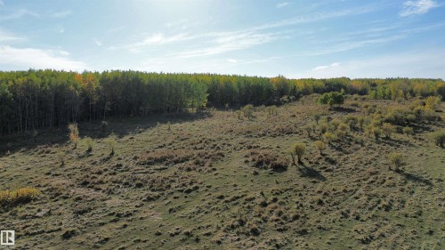 On Twp Rd 505, Rural Brazeau County, AB 