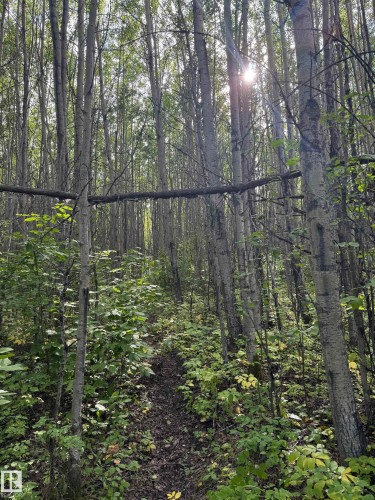 On Twp Rd 505, Rural Brazeau County, AB 