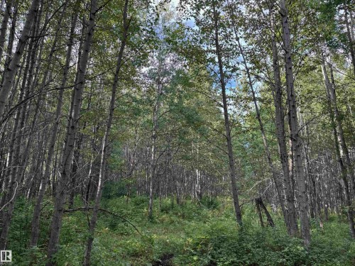 On Twp Rd 505, Rural Brazeau County, AB 