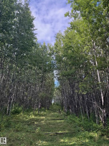 On Twp Rd 505, Rural Brazeau County, AB 