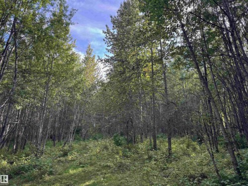 On Twp Rd 505, Rural Brazeau County, AB 