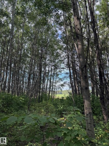 On Twp Rd 505, Rural Brazeau County, AB 