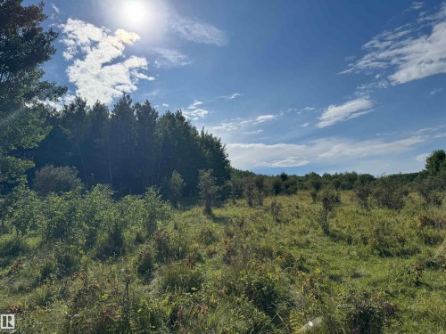 On Twp Rd 505, Rural Brazeau County, AB 