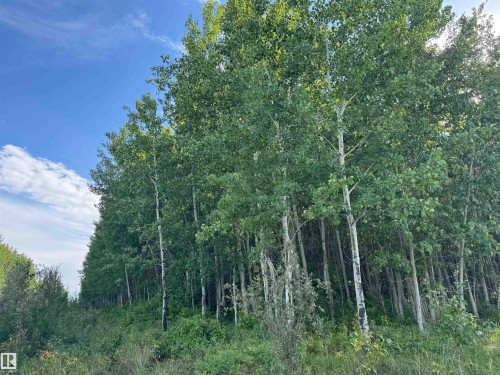 On Twp Rd 505, Rural Brazeau County, AB 