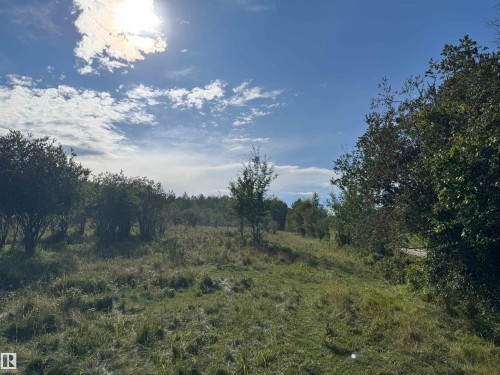 On Twp Rd 505, Rural Brazeau County, AB 