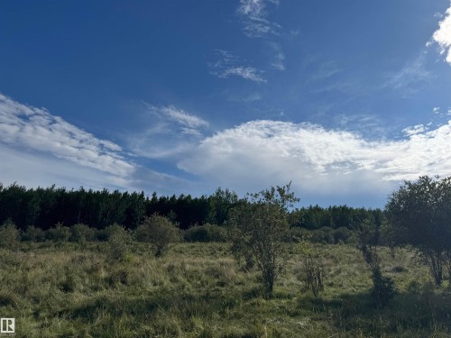 On Twp Rd 505, Rural Brazeau County, AB 