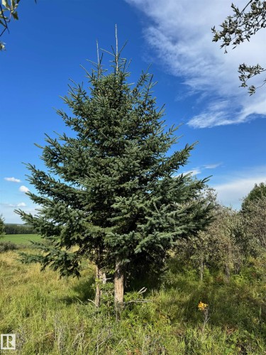 On Twp Rd 505, Rural Brazeau County, AB 