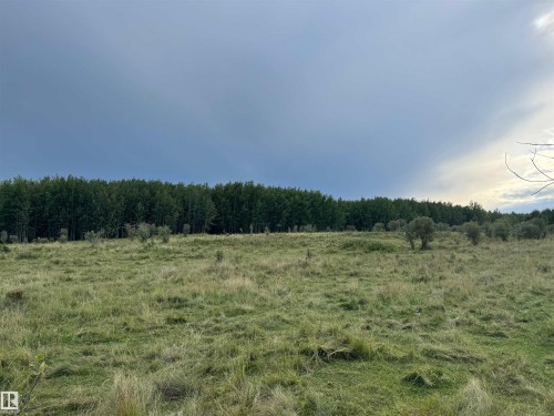 On Twp Rd 505, Rural Brazeau County, AB 