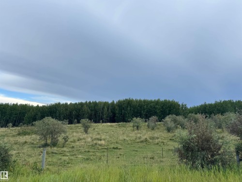 On Twp Rd 505, Rural Brazeau County, AB 