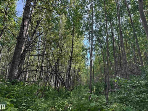 On Twp Rd 505, Rural Brazeau County, AB 