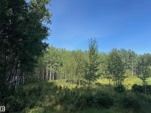 On Twp Rd 505, Rural Brazeau County, AB 