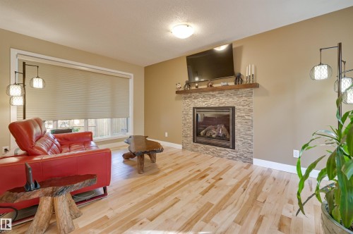 17623 53 Avenue, Edmonton, AB - Indoor Photo Showing Living Room With Fireplace
