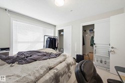 Bedroom with two closets and carpet flooring - 