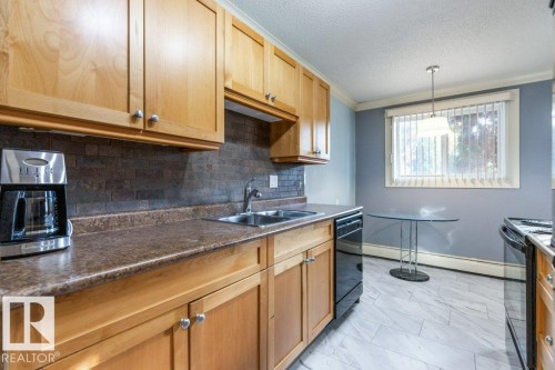 101 11916 104 Street, Edmonton, AB - Indoor Photo Showing Kitchen With Double Sink