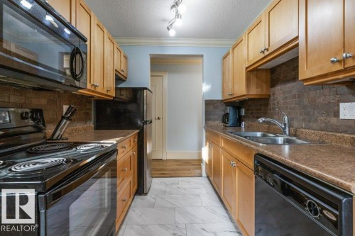 101 11916 104 Street, Edmonton, AB - Indoor Photo Showing Kitchen With Double Sink
