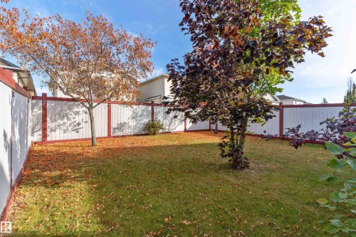 3231 21 Street, Edmonton, AB - Outdoor