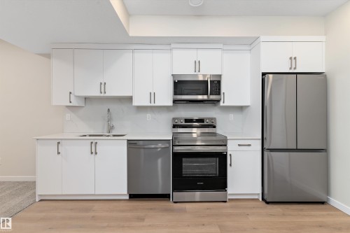 841 Rowan Close, Edmonton, AB - Indoor Photo Showing Kitchen With Stainless Steel Kitchen With Double Sink