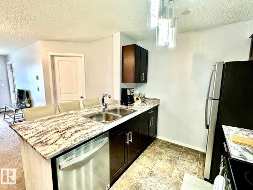 219 5370 Chappelle Road, Edmonton, AB - Indoor Photo Showing Kitchen With Double Sink