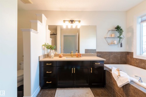 21323 58 Avenue, Edmonton, AB - Indoor Photo Showing Bathroom