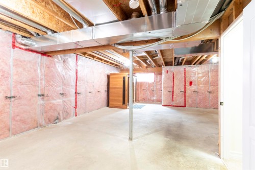 21323 58 Avenue, Edmonton, AB - Indoor Photo Showing Basement