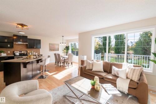 21323 58 Avenue, Edmonton, AB - Indoor Photo Showing Living Room