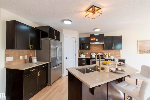 21323 58 Avenue, Edmonton, AB - Indoor Photo Showing Kitchen With Stainless Steel Kitchen With Double Sink With Upgraded Kitchen
