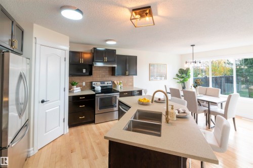 21323 58 Avenue, Edmonton, AB - Indoor Photo Showing Kitchen With Stainless Steel Kitchen With Double Sink With Upgraded Kitchen