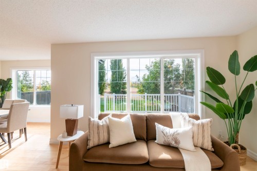 21323 58 Avenue, Edmonton, AB - Indoor Photo Showing Living Room