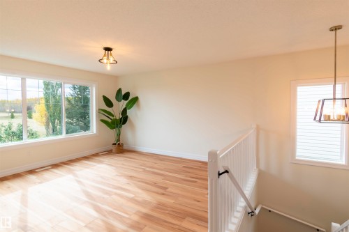 21323 58 Avenue, Edmonton, AB - Indoor Photo Showing Other Room
