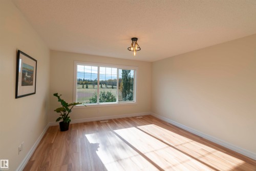 21323 58 Avenue, Edmonton, AB - Indoor Photo Showing Other Room