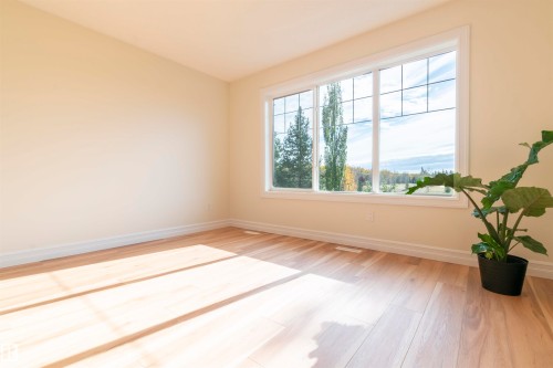21323 58 Avenue, Edmonton, AB - Indoor Photo Showing Other Room