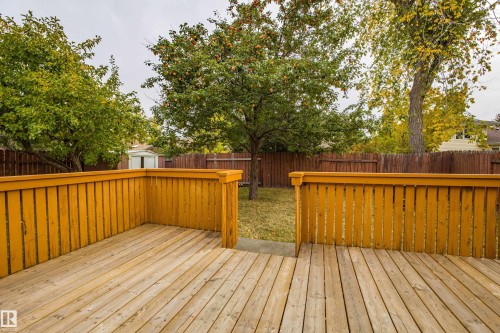3835 47 Street Nw, Edmonton, AB - Outdoor With Deck Patio Veranda