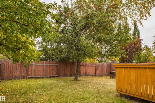 3835 47 Street Nw, Edmonton, AB - Outdoor