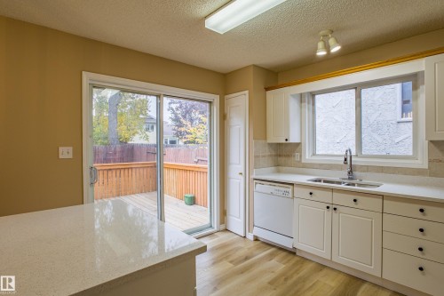 3835 47 Street Nw, Edmonton, AB - Indoor Photo Showing Kitchen With Double Sink
